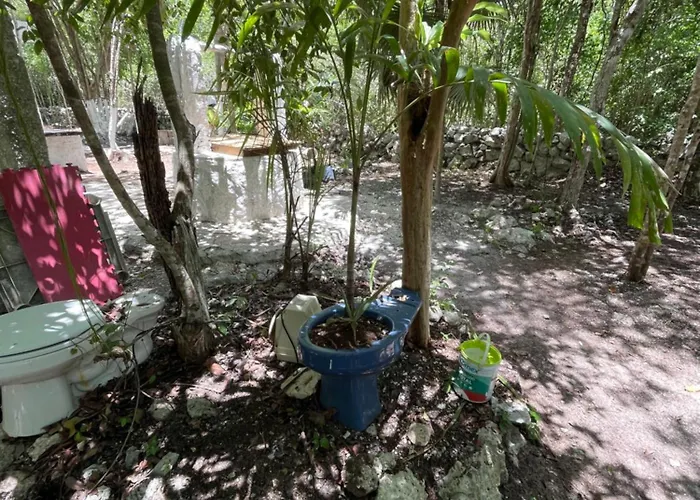 Home's Jungle Holiday home